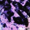 Runway (feat. Kurtains & Wido) (Explicit) - Heroine Diaries&kurtains&Wido