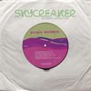 Simple Questions (Ejeca Remix) - Ponty Mython