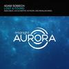 Lost  and amp; Found (Joe Schaeffer Remix) - Adam Sobiech&Joe Schaeffer