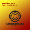 Fallen Tears (Extended Mix) - Ed Sánchez