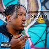 Up Up & Away (feat. pinkblueadam) (Explicit) - Skwid&pinkblueadam