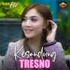 Kesandung Tresno - Dara FU