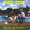 Ninho de Saudade - Zico E Zeca