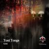 Geist (Original Mix) - Toni Tonga