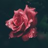 breather (eric kupper mix) - Afterlife
