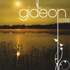 Fly Away - Gideon