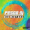 Big Mistake (Radio Edit) - Pesco DJ