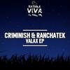 Patterns In Numbers (Original Mix) - Criminish&RanchaTek