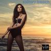 Solitary Beach (Original Mix) - DDL Project