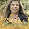 Rosa amarela - Paula Mattos