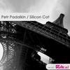 Silicon Cat - Petr Padalkin