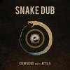 Snake Dub(feat. attila) (Dub) - Cienfuego