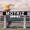 Flow (Original Mix) - Motriz