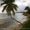 vieques & dark rum(feat. Kelly Vargas) - small dogs&Kelly Vargas