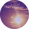 Carry Me Away - Soul Defiance