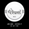Chadleys (Aney F. Remix) - Jamie Ward&Aney F.