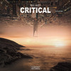 Critical (Radio Mix) - Raul Alex I.