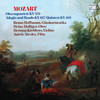 I. Adagio - Bruno Hoffmann&Aurèle Nicolet&Heinz Holliger&Karl Schouten&Jean Decroos