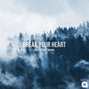 Break Your Heart - Emil Wigan&DR4MX&Emil Wigand Birkedal