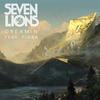 Dreamin'(feat. Fiora) - Seven Lions&Fiora