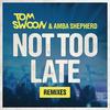 Not Too Late (Sebjak Remix) - Tom Swoon