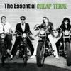 Ain't That a Shame (Live at Nippon Budokan, Tokyo, JPN - April 1978) - Cheap Trick