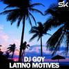 Brazilia Summertime (Original Mix) - DJ Goy