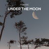 Under The Moon - Firevibe