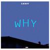 Why？ - Skry