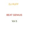 Playboy Paradise - DJ Ruff