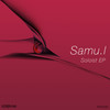 Bella Mattina - Samu.l