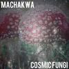 Bash Things - Machakwa&Man of the Downtrodden