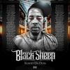 Playa (feat. How Dblack Do Dat & Bobby Racksmith) (Explicit) - Suavio Da Don&How DBlack Do Dat&Bobby Racksmith