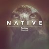 Control (Original Mix) - Peekay