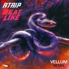 Beat Like (Vellum Remix) - Atrip&Vellum&Patrick Pache&Jamie Perry