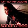 Turn Up the Volume (Radio Mix) - Sandra Gee