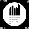 Nasty (Original Mix) - Wildfire