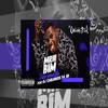 Puta Enrustida (feat. Mc Mr. Bim|Explicit) - Dj Carlinhos Da S.R