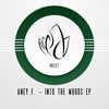 Into The Woods (Original Mix) - Aney F.