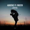 Lovefool - Audiotricz&Forester