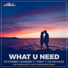 What U Need (Max Farenthide & Disco Superstars Extended Remix) - DJ Combo&Sander-7&Tony T&Dj Nicolas&Max Farenthide&Disco Superstars