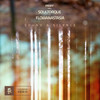 Sound & Silence (Extended Mix) - flowanastasia&Soultorque&Proff