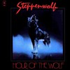 Another's Lifetime - Steppenwolf