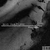 Big One - Peter Mills