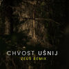 Uśnij (Zeu5 Remix) - Chvost&Zeu5&Paulina Bisztyga