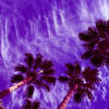 Way 2 High (feat. KD, Navy, Adhnok & SOMADINA) (Explicit) - Bravura Forever&KD&Navy&Adhnok&Somadina