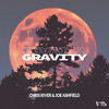 Gravity (Extended Mix) - Chris River&Joe Ashfield