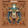 Sahara Winds (thinkinsounds Remix) - Majed Salih&CamelVIP&thinkinsounds