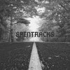 SPINTRACKS! (Explicit) - Lonely Rich