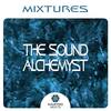 Poison (Original Mix) - The Sound Alchemyst